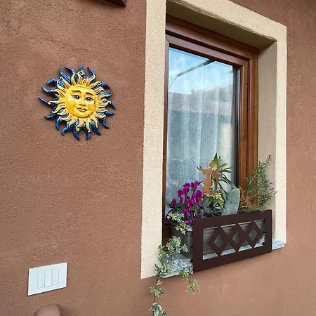 Sole Arona
